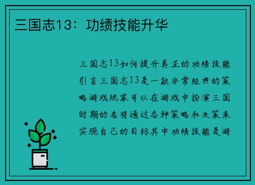 三国志13：功绩技能升华